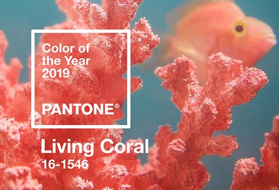 Color of the year 2019 Pantone - Living Coral 16-1546