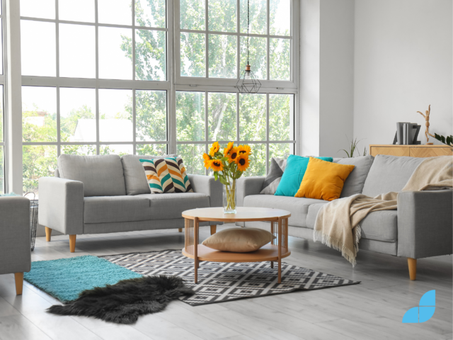 Cozy grey sofas and vase with beautiful sunflowers in interior of light living room.